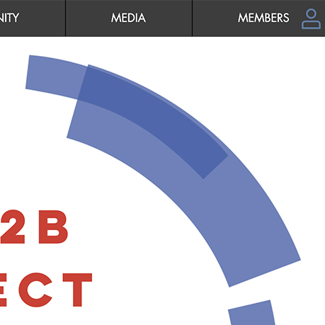 The B2B Project website